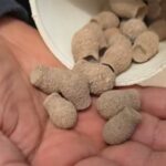 Screenshot_20251008_201102_TikTok